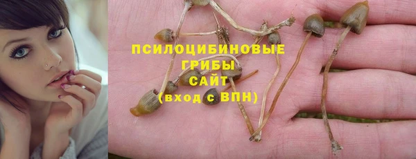 МДМА Сосновка