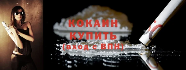 дживик Сосновый Бор
