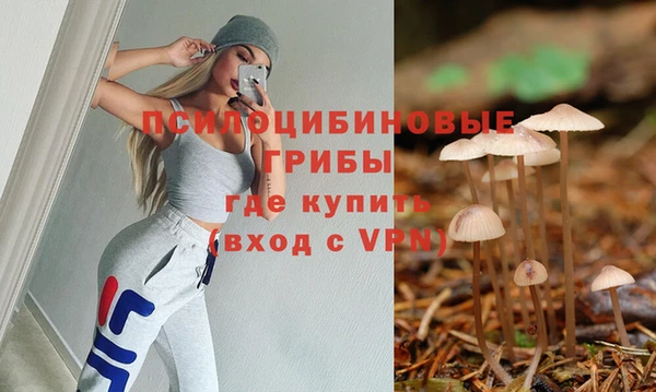 MESCALINE Белокуриха