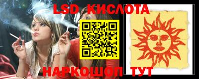шишки Изобильный