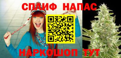 МДПВ Ипатово