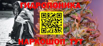 прущие крисы Ирбит