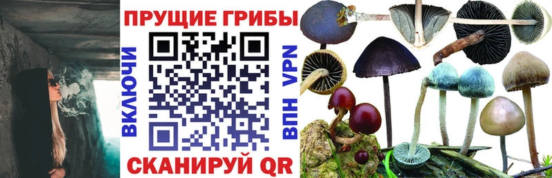 Галлюциногенные грибы мицелий  Вязники 
