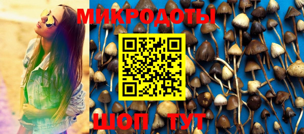 Галлюциногенные грибы ЛСД Вязники