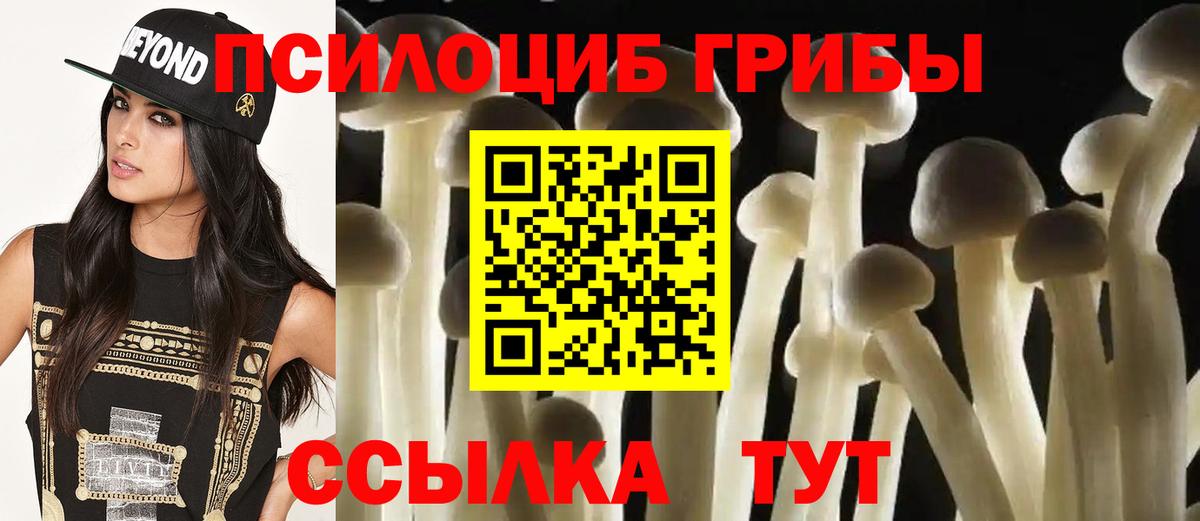 Псилоцибиновые грибы MAGIC MUSHROOMS  Вход с VPN  купить закладку  Галлюциногенные грибы Cubensis  Вязники 