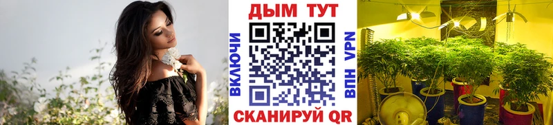 дарнет шоп  Вязники  Каннабис Bruce Banner 